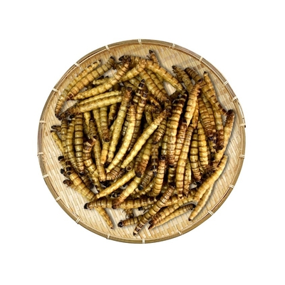 Сушеные ингредиенты Superworm/корм для животных/корм для домашних животных