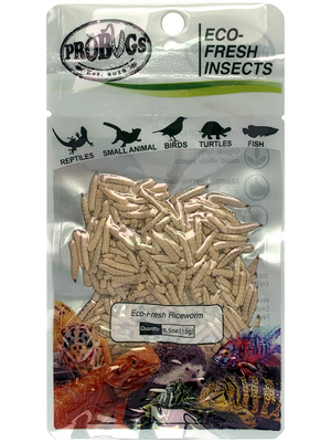 Эко-свежие рисовые черви/белковые продукты для кормления домашних животных/кормления птицы